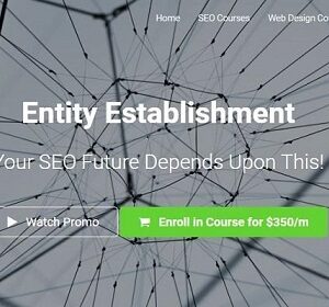 Entity Establishment - Your SEO Future Depends Upon This