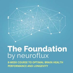 The Foundation by Neuroflux