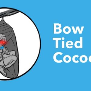 BowtiedCocoon – Zero to $100k: Landing Any Tech Sales Role