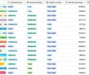 Ian Nuttall - Niche Site Metrics