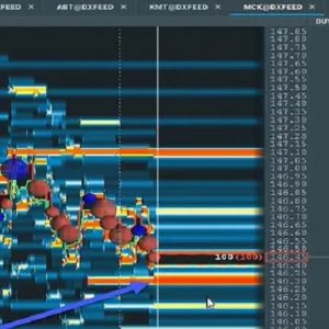 Scott Pulcini Trader – GAP-VWAP Fail Course