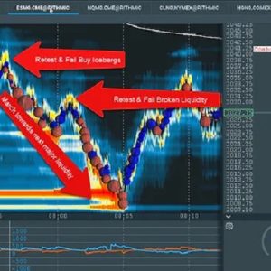 scott-pulcini-si-stop-iceberg-indicator-trading-setup-education-course