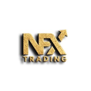 trading-nfx-course-andrew-nfx