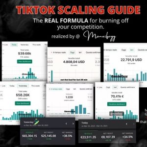 moneifay-tiktok-scaling-secret-for-6-figure-day-testing-phase-bonus