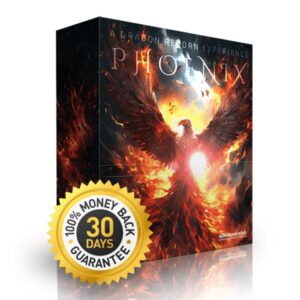 phoenix-a-dragon-reborn-experience