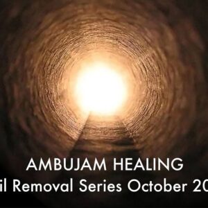 ambujam-healing-veil-removal-series-13-sessions