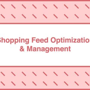 take-some-risk-shopping-feed-optimization-and-management